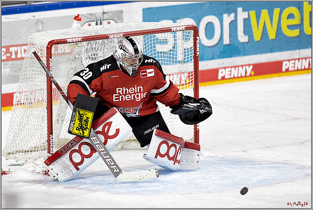 PENNY DEL;  Koelner Haie - Nuernberg Ice Tiger; Koeln, 21.09.2021